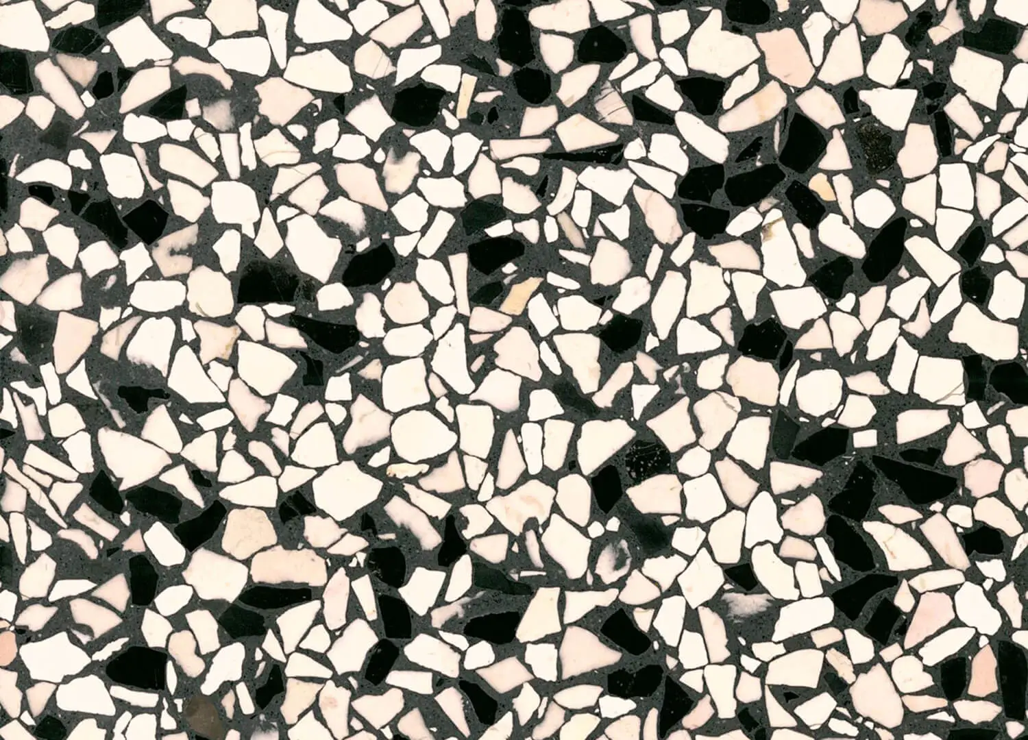 Coloured Terrazzo EM-1087 Signorino