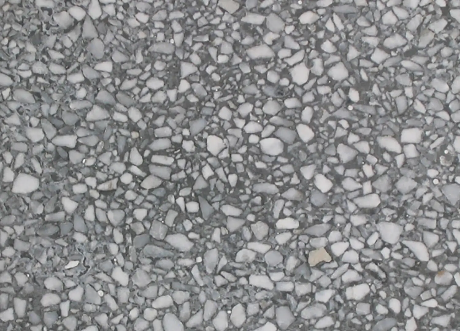 Signorino Terrazzo Slab 530