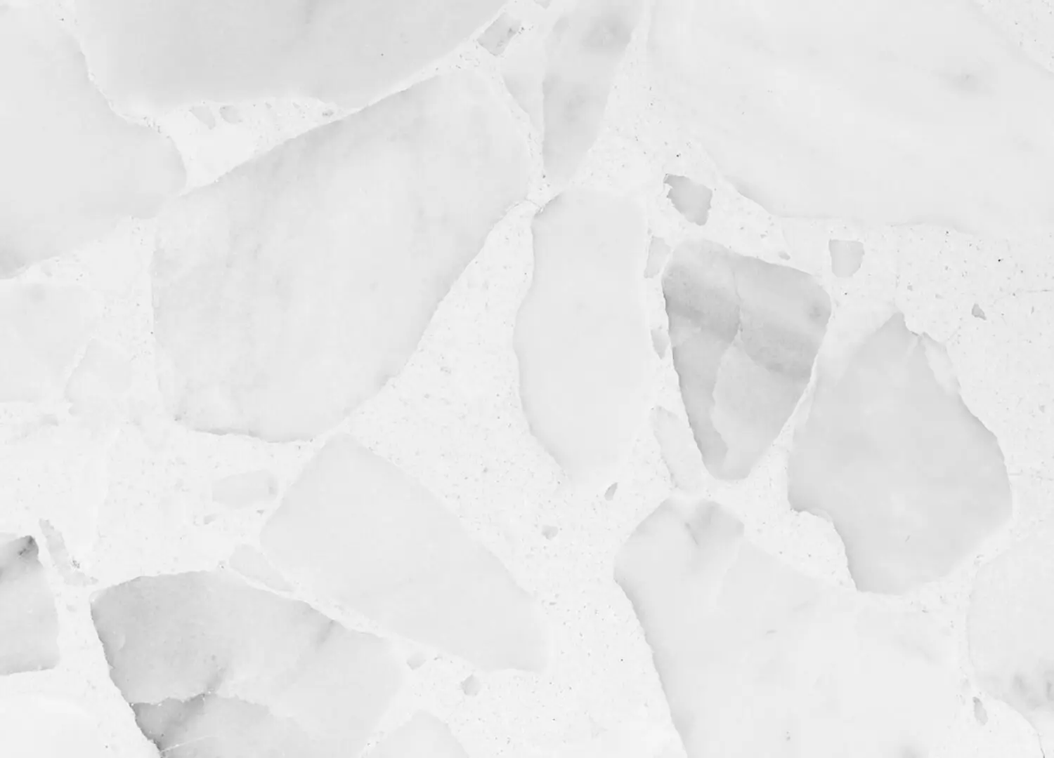 Terrazzo Slab Bianco Neve Signorino
