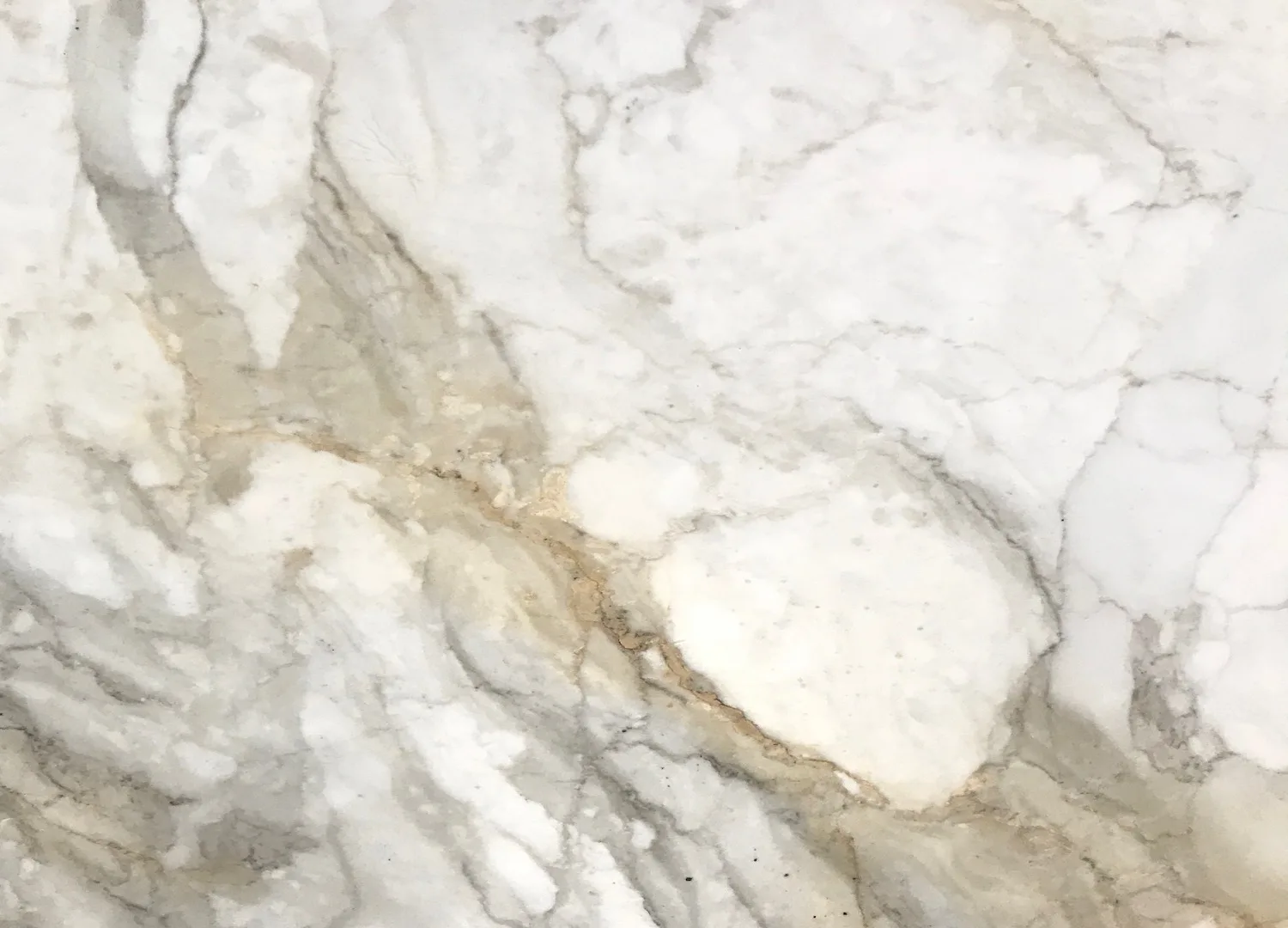 VSG Calacatta Oro