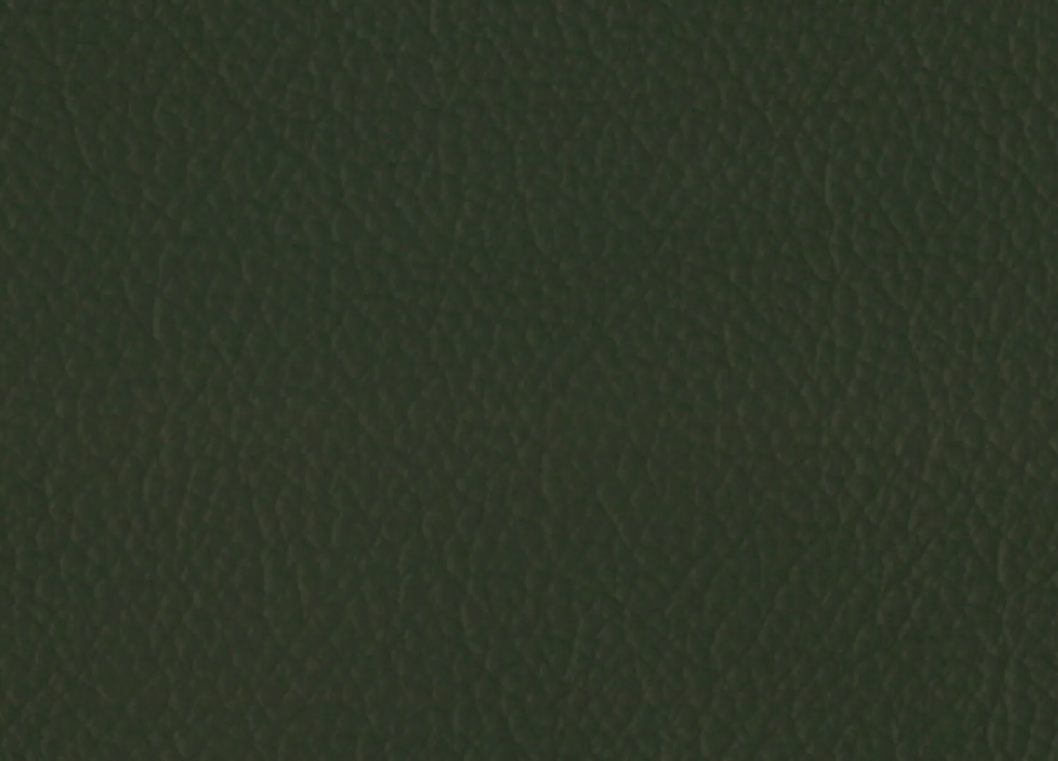 La Casa Leather – Brunswick