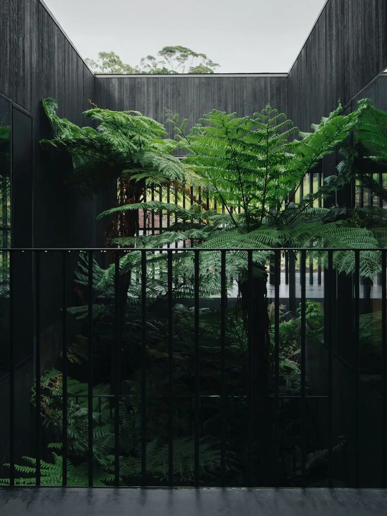 Federal House by Edition Office