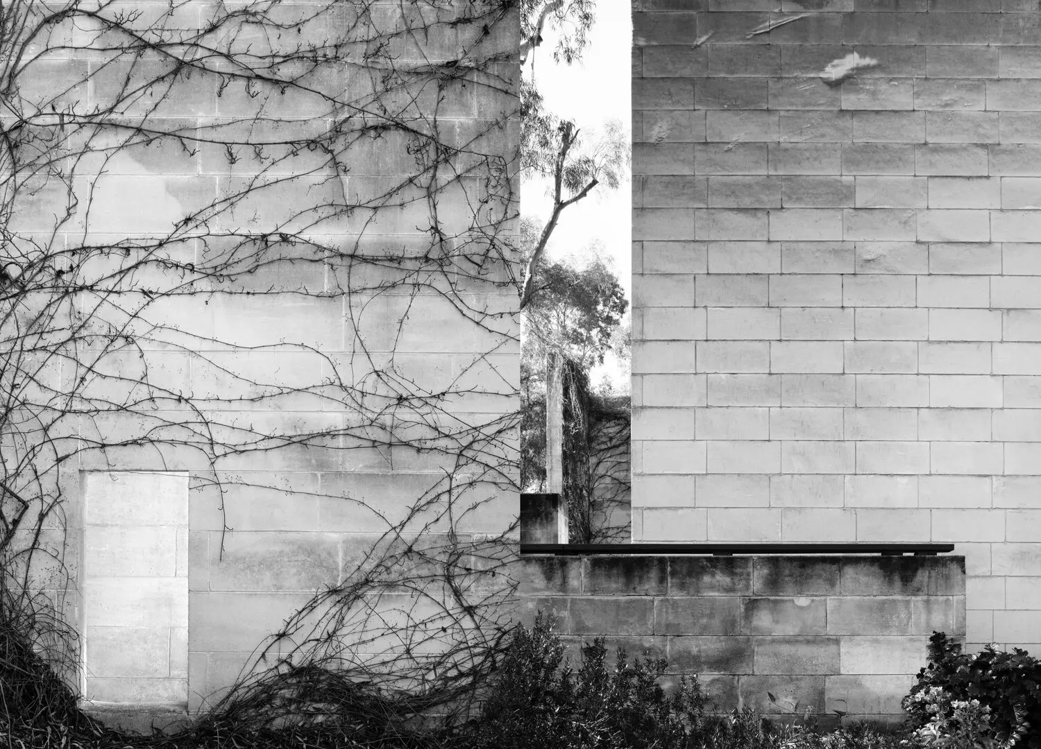 Nicole England Heide Solitude