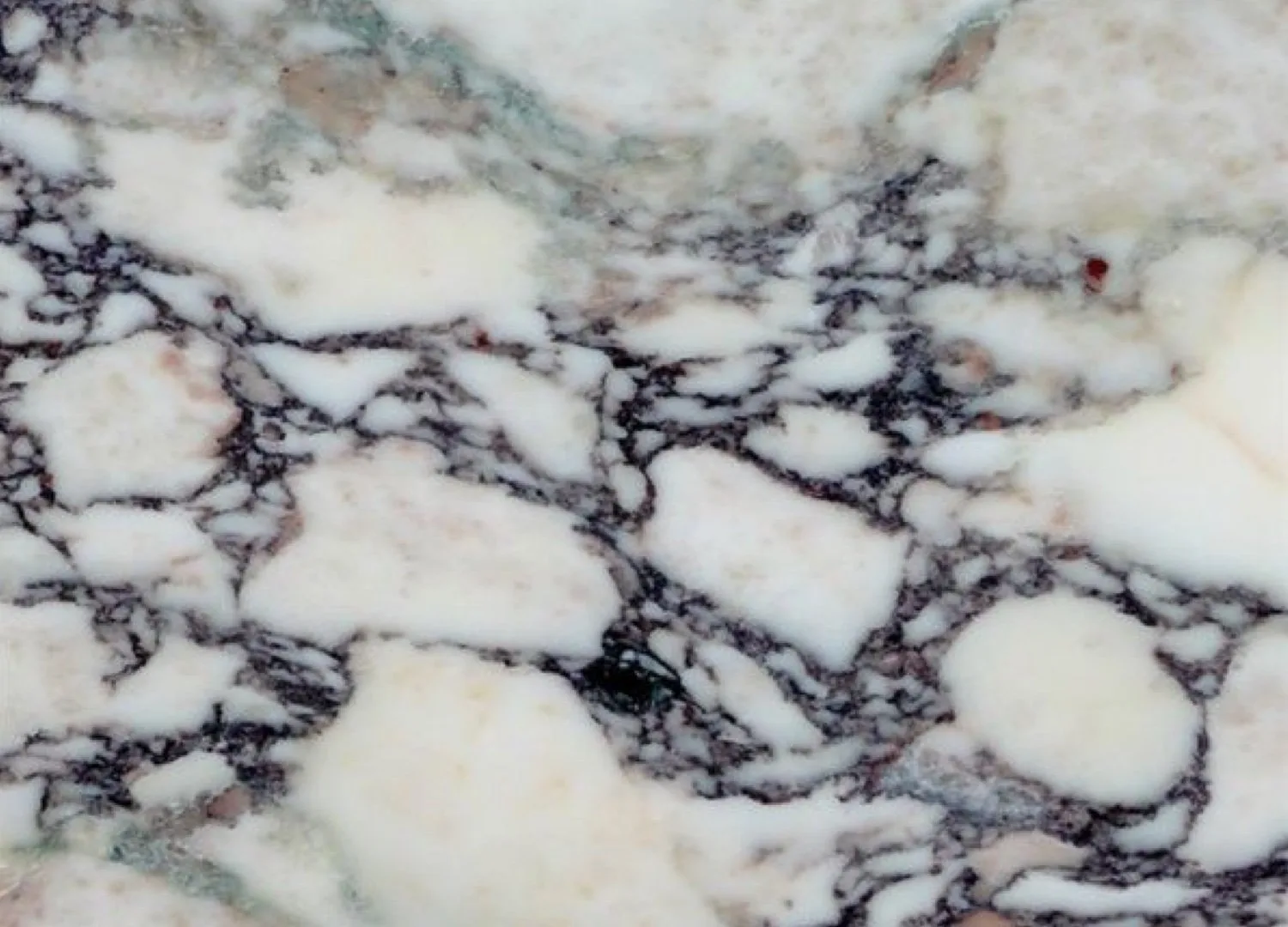 Stone Contact Breccia Stazzema