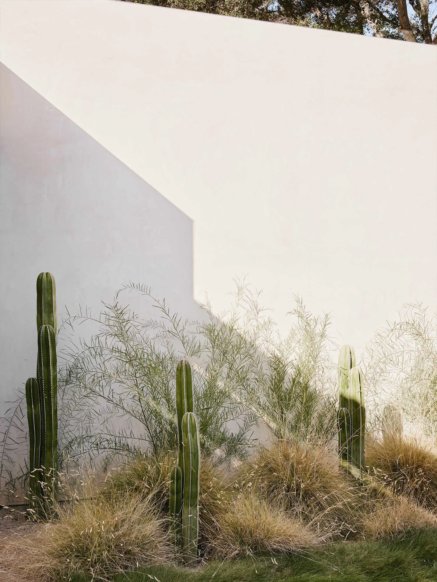 estliving-Rustic-Canyon-Walker-Workshop-01