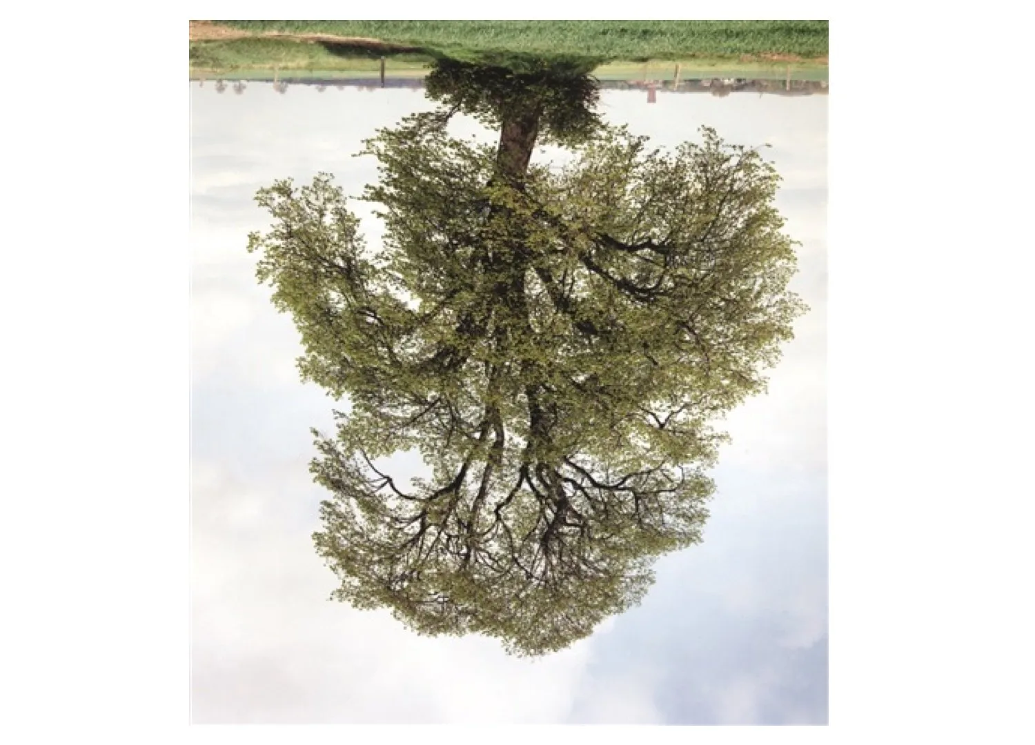 Rodney Graham