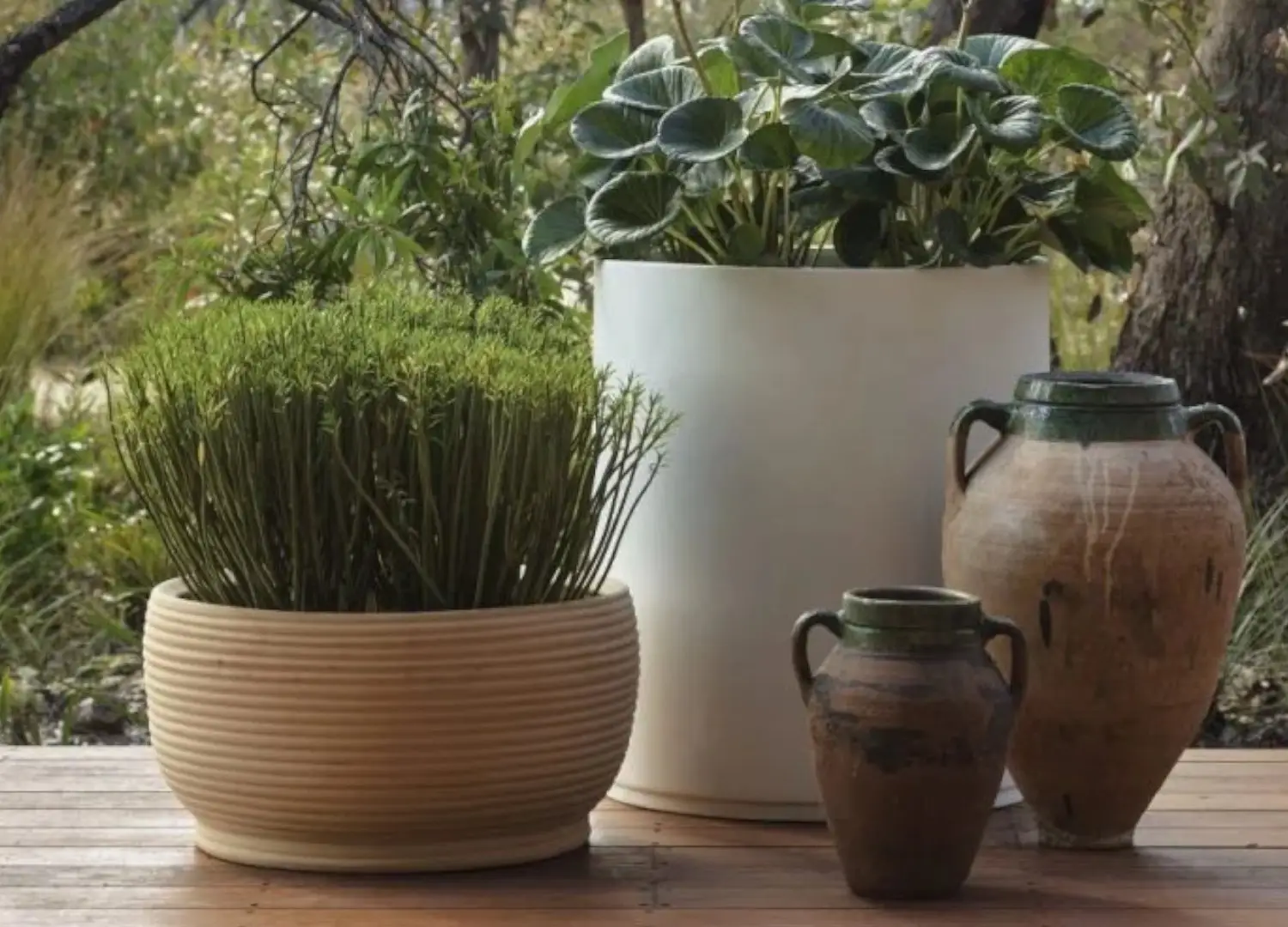 Garden Life Handthrown Terracotta Coil Low