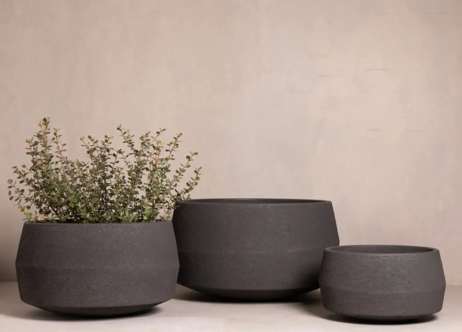 Hibernate NoMud 10 Degrees Planter